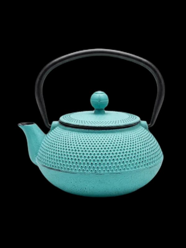 Japanese cast iron teapot
